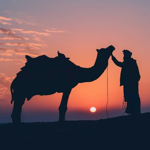 top10moroccotours vaficon