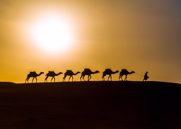 5 days desert tour from Fes